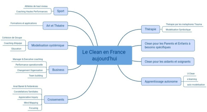 Quels sont les domaines d’application du Clean ? – Clean Language